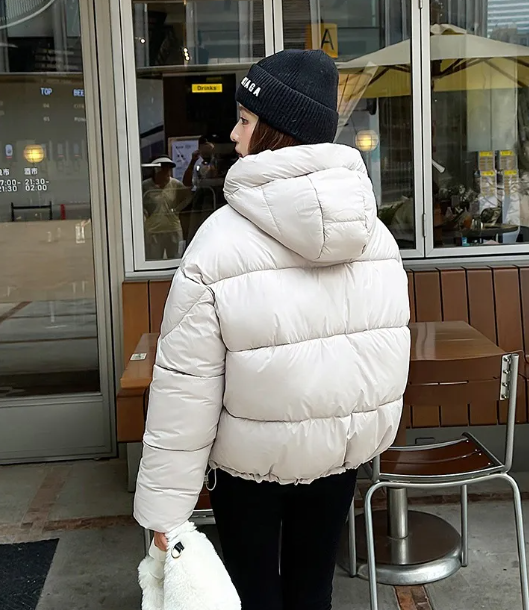 Puffer Hooded Jacket