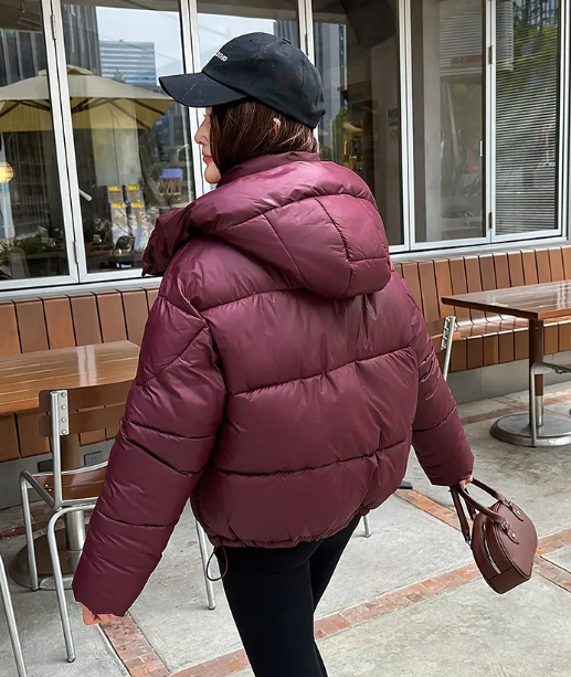 Puffer Hooded Jacket