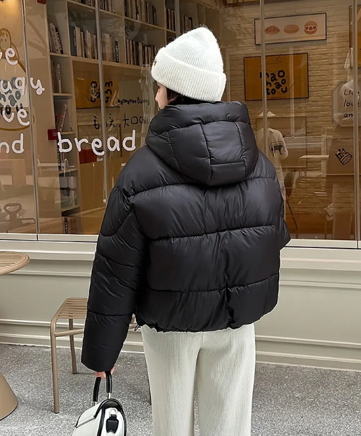 Puffer Hooded Jacket