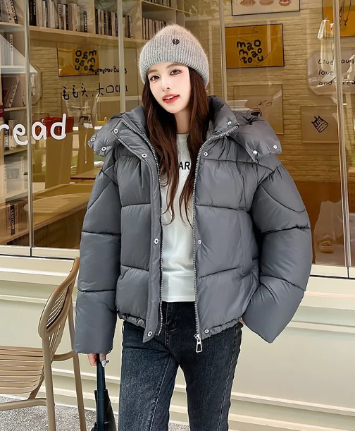 Puffer Hooded Jacket